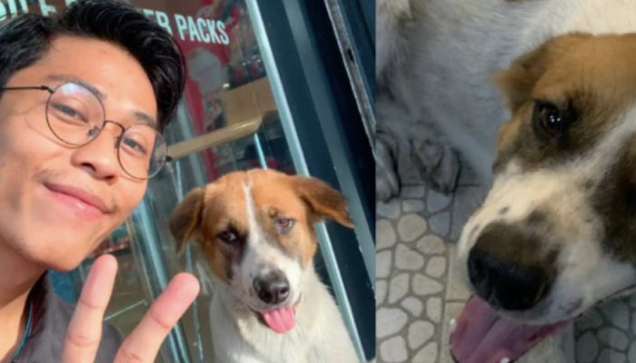A stray dog decided to give him a visit after finding the workplace of a kind man.