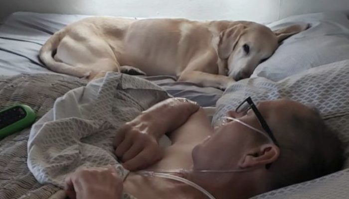 The dog refused to leave his dying owner, they died a few hours apart. So loved.