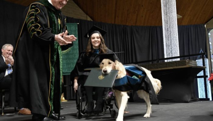 Administration canine helped his proprietor through graduate school, so the college granted him with his own certificate.