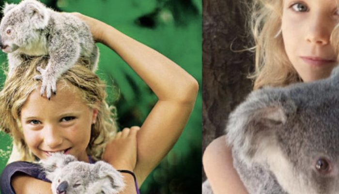 Even though she is only 10 years old, this lovely girl has already saved dozens of koalas. You will be shocked to see her.
