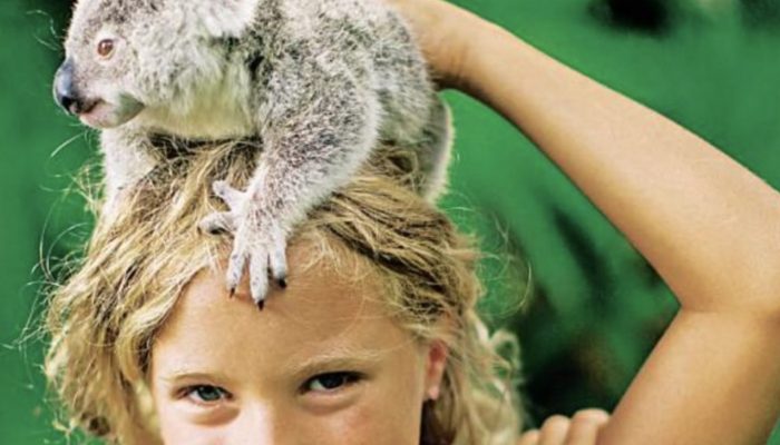Even though she is only 10 years old, this lovely girl has already saved dozens of koalas. You will be shocked to see her.