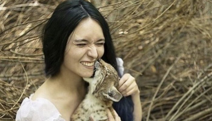 A woman saved and raised two lynx cubs she purchased from a zoo farm. The two cubs were loved and happy.