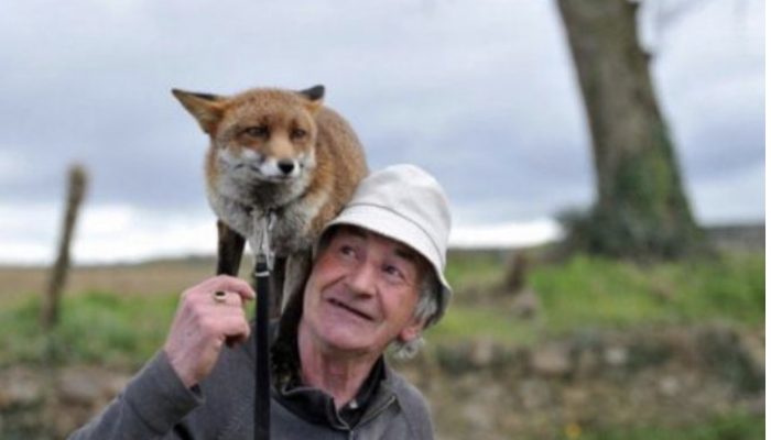 The cubs have refused to leave the old man ever since he saved their lives. See the reaction of the old man.