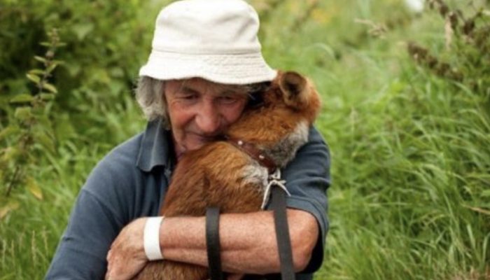 The cubs have refused to leave the old man ever since he saved their lives. See the reaction of the old man.