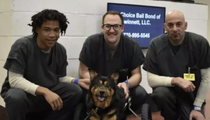 The dog in a wheelchair returned multiple times to the shelter at last will be taken on by a man who totally grasps him.