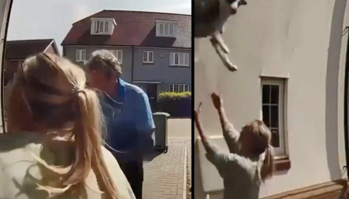 A woman saved a dog that jumped from a house window through her heroism. See the reaction of the do.