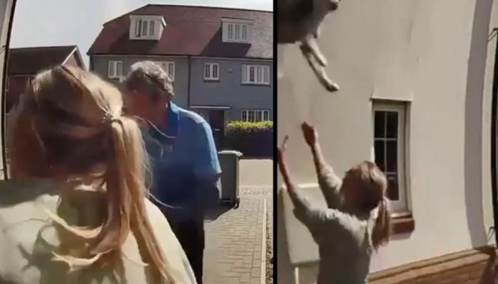 A woman saved a dog that jumped from a house window through her heroism. See the reaction of the do.