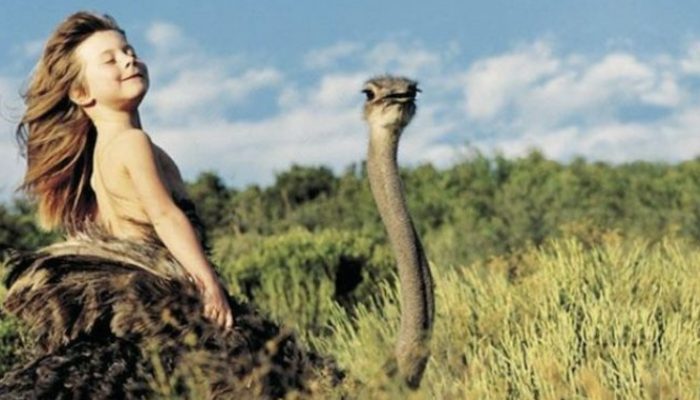 Talk about your time in the African wilderness with Little Tarzan. His everyday is incredible.