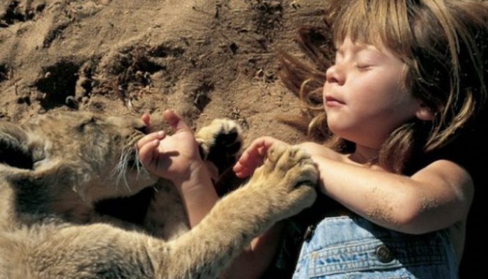 Talk about your time in the African wilderness with Little Tarzan. His everyday is incredible.