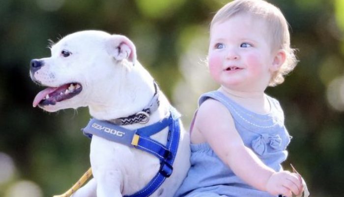 Until she was one, she would not take in an animal with a lost limb. Interesting to see.