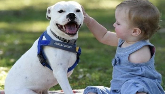 Until she was one, she would not take in an animal with a lost limb. Interesting to see.