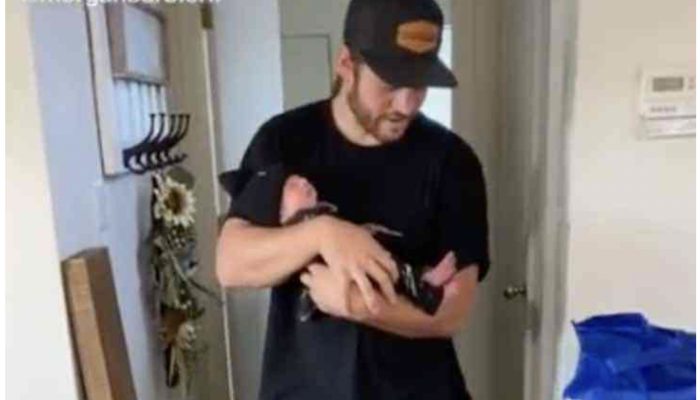 As soon as their owner arrives home, the pups start kissing the newborn. The kissing moment was admiring.