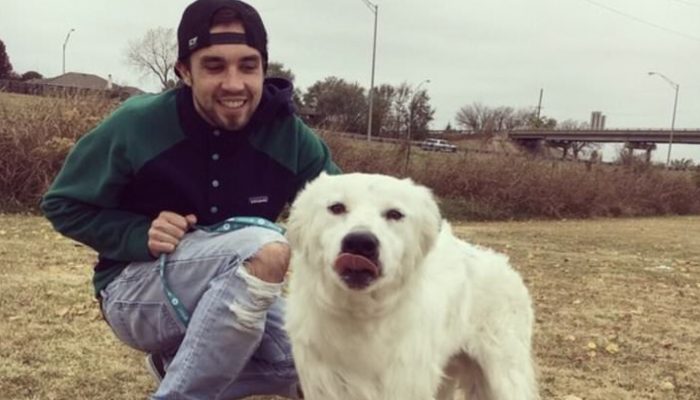 A dog that was in so much pain could not be a pet as it did not get enough hugs in its life.