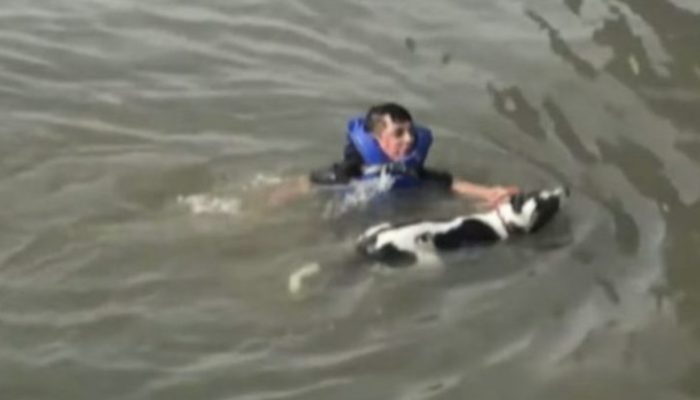 It was quite moving when this kind-hearted man dove into a lake on his birthday to save a dog. Some pictures from that moment.