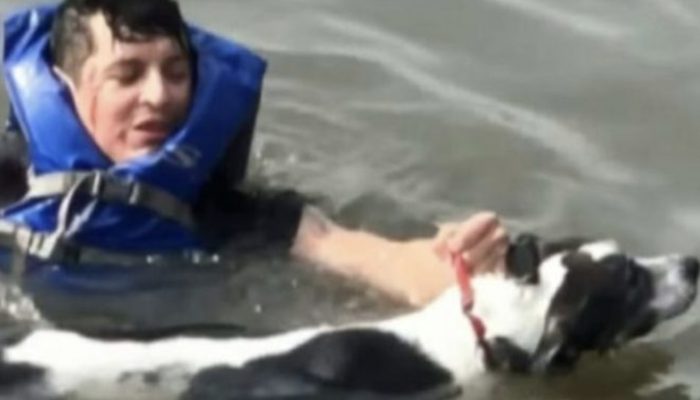 It was quite moving when this kind-hearted man dove into a lake on his birthday to save a dog. Some pictures from that moment.