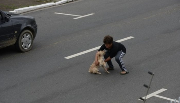 11-year-old boy stoped the traffic to rescue dog hit by car. The camera fixed the moment and here are some shots.