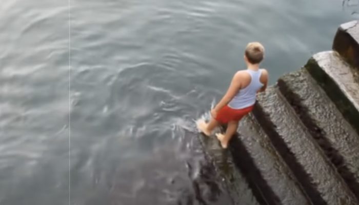 The child decided to feed the fish from the pier, but another creature approached him instead of fish.