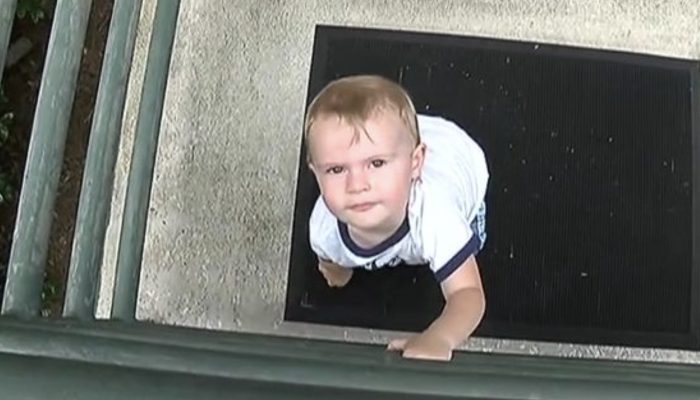 The faithful dog warned the child's parents that the babysitter was mistreating the child.