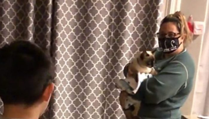 Boy who was heartbroken when his cat disappeared can not contain his happiness after finding his beloved pet.