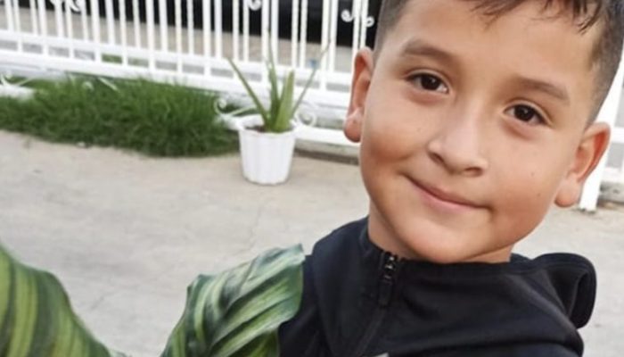 In spite of the fact that an 8-year-old child and his family were living on the streets, he developed a business concept and purchased an apartment 8 months later.