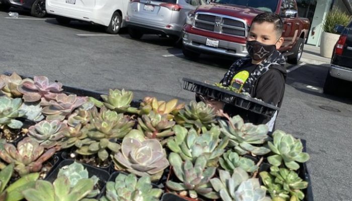 In spite of the fact that an 8-year-old child and his family were living on the streets, he developed a business concept and purchased an apartment 8 months later.