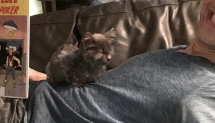 How Bar went from a skeleton to a luxurious cat and made everyone happy. That was really interesting to see the transformation of the cat.