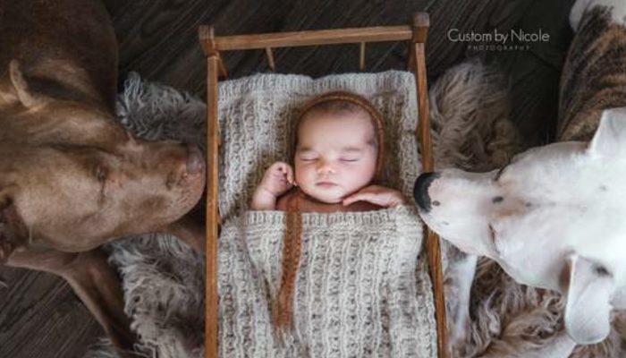 Boy has the sick and only wants his favorite dog to soothe him. The dog was taking are of him.