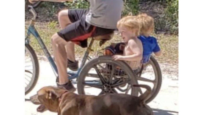 The baby boy with Autism found safely cared for by family dogs. His face is so cute.