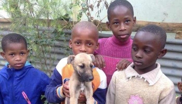In Tanzania, the five good guys managed to save this poor stray puppy on their own.