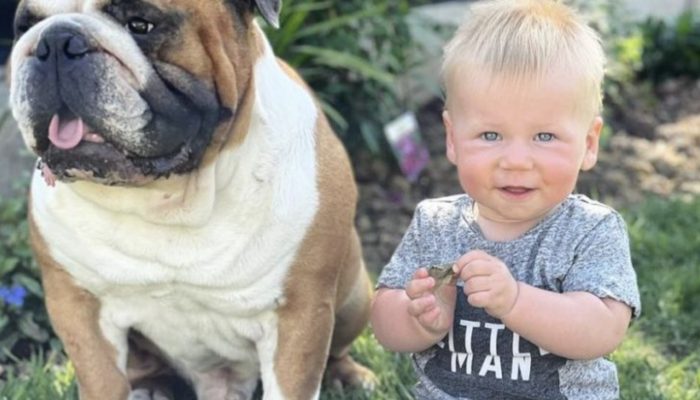 Mother posts photos of the English Bulldog and baby's endearing connection. Let's see them together.