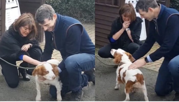 The couple find dog found 200 miles from home after it was stolen 6 years ago. They had unbelievable feelings.