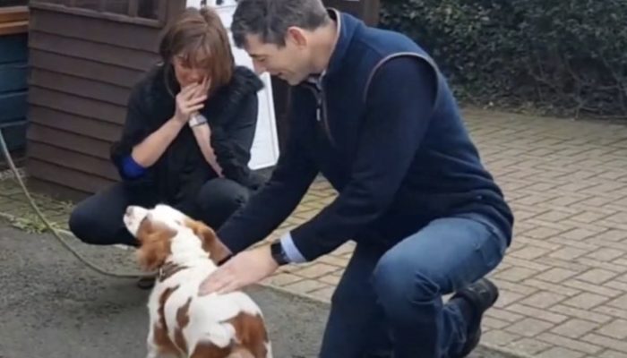 The couple find dog found 200 miles from home after it was stolen 6 years ago. They had unbelievable feelings.