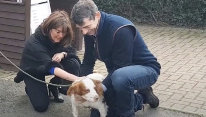 The couple find dog found 200 miles from home after it was stolen 6 years ago. They had unbelievable feelings.