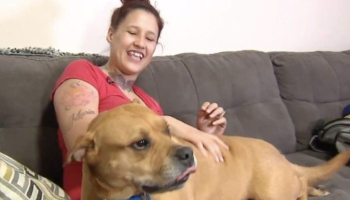 Sometimes a mother would visit the shelter to buy a new dog for her boys, and other times she would discover her missing pet there.