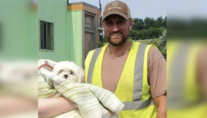 A little puppy is discovered among the trash by the driver of a garbage truck, who saves her life.