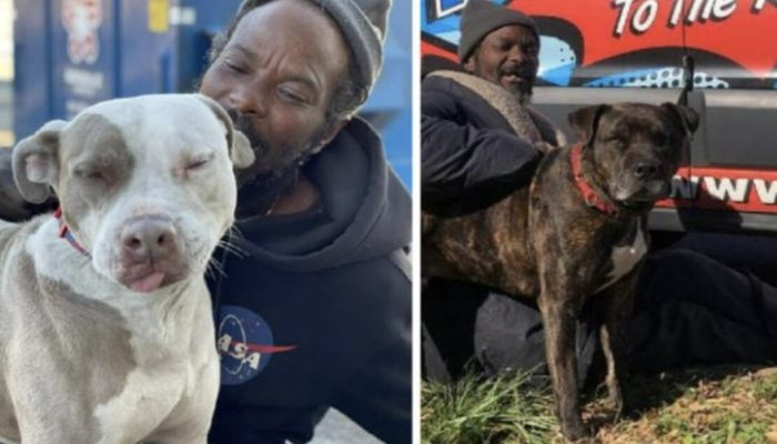 To save all the animals, a jobless guy enters a blazing animal shelter. It is interesting to see.