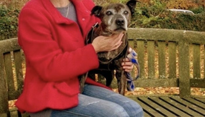 Nine years after going missing, the dog is located and still recognizes its owner.