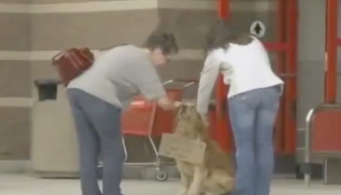 A dog was waiting outside near the store with a sign around the neck. In the end, people approached and read the sign.