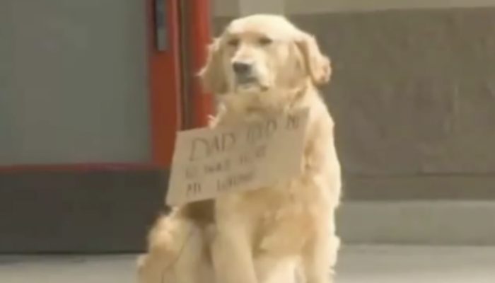 A dog was waiting outside near the store with a sign around the neck. In the end, people approached and read the sign.
