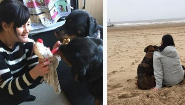 The caring woman created a lovely and comfortable sanctuary where puppies may spend their final days in peace.