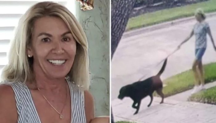 A woman with memory loss goes missing, but her loyal dog finds her unharmed.