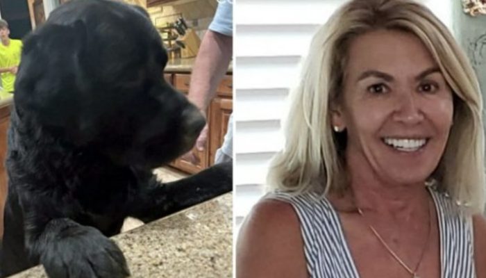 A woman with memory loss goes missing, but her loyal dog finds her unharmed.