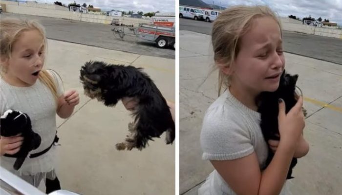 The girl is delighted when her parents present her with a doggy as a surprise. It is worth seeing the doggy.
