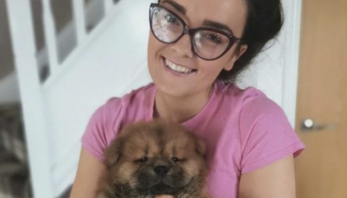 She invests money and effort into designing the ideal bedroom for her new puppy. Let's see the bedroom for dog.