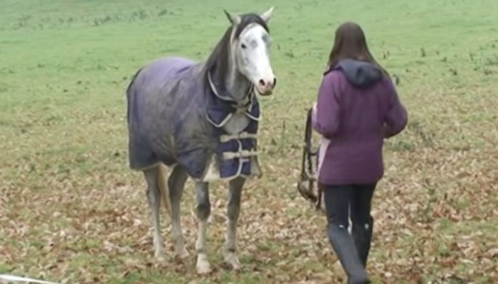 Woman has emotional reunion with her beloved horse after long vacation. Their friendship is really strong.