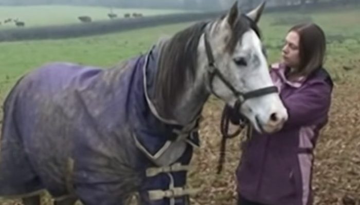 Woman has emotional reunion with her beloved horse after long vacation. Their friendship is really strong.