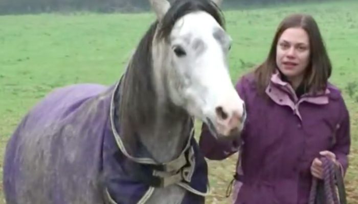 Woman has emotional reunion with her beloved horse after long vacation. Their friendship is really strong.