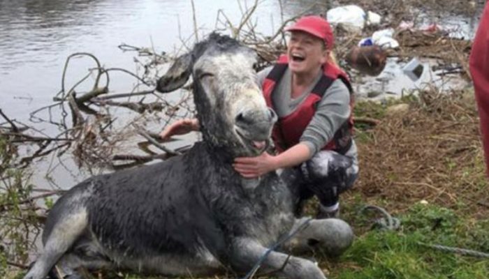 He greets the people who recently saved a donkey with a big smile. See, who saved the donkey.