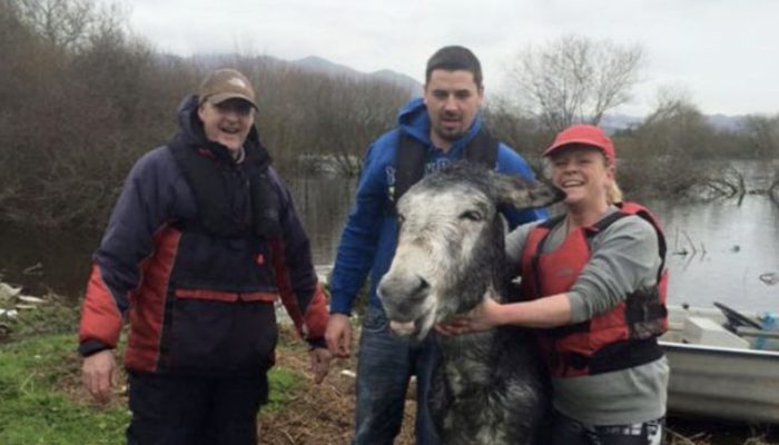He greets the people who recently saved a donkey with a big smile. See, who saved the donkey.