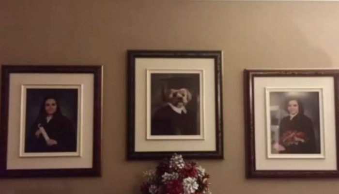 Sisters made the decision to surprise their brother on his thirteenth birthday by dressing their dog like a college grad.